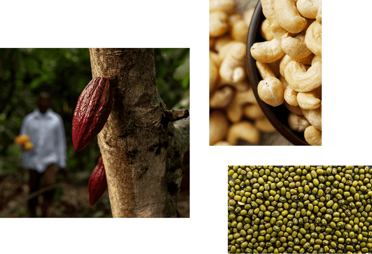 SFI Agri product showcase